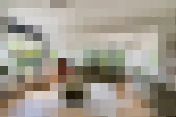 Fonteinkruid 50 Heerenveen thumbnail 17