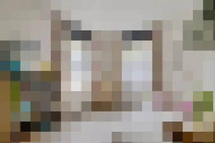 Fonteinkruid 50 Heerenveen thumbnail 26