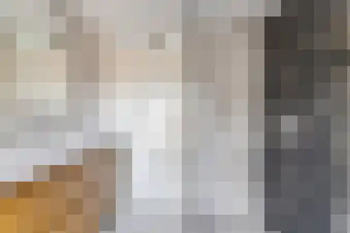 Fonteinkruid 50 Heerenveen thumbnail 30