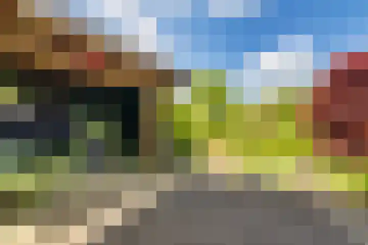 Fonteinkruid 50 Heerenveen thumbnail 32