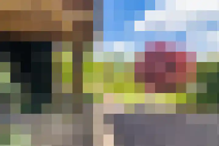 Fonteinkruid 50 Heerenveen thumbnail 33