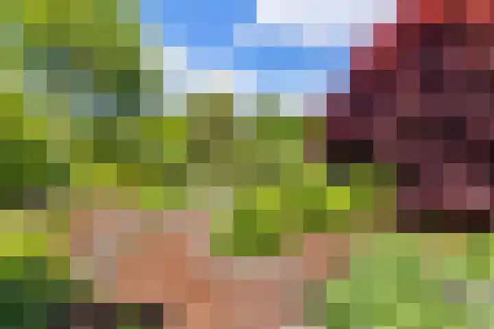 Fonteinkruid 50 Heerenveen thumbnail 34