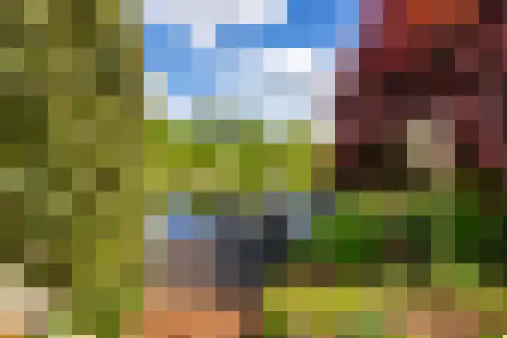 Fonteinkruid 50 Heerenveen thumbnail 35