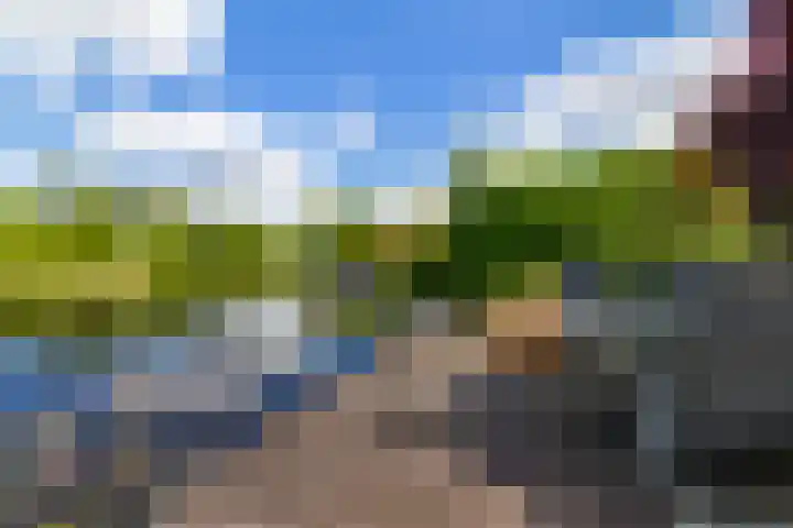 Fonteinkruid 50 Heerenveen thumbnail 36
