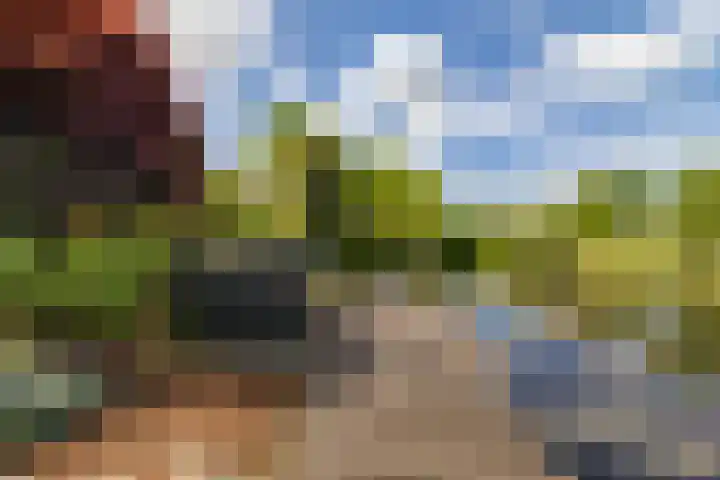 Fonteinkruid 50 Heerenveen thumbnail 37
