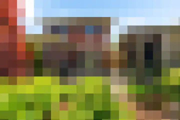 Fonteinkruid 50 Heerenveen thumbnail 38
