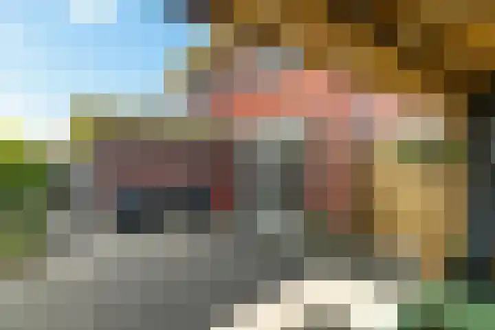 Fonteinkruid 50 Heerenveen thumbnail 39