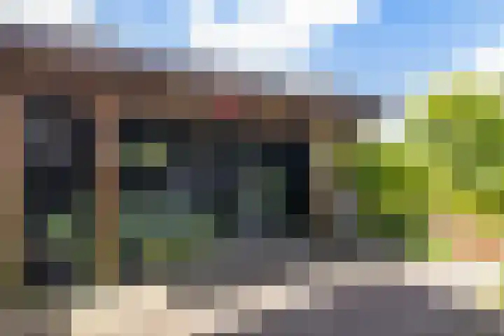 Fonteinkruid 50 Heerenveen thumbnail 40