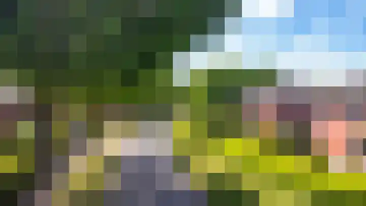 Fonteinkruid 50 Heerenveen thumbnail 43