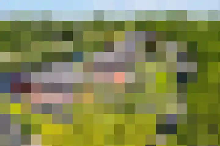 Fonteinkruid 50 Heerenveen thumbnail 45