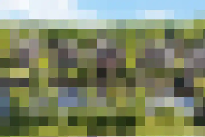 Fonteinkruid 50 Heerenveen thumbnail 46