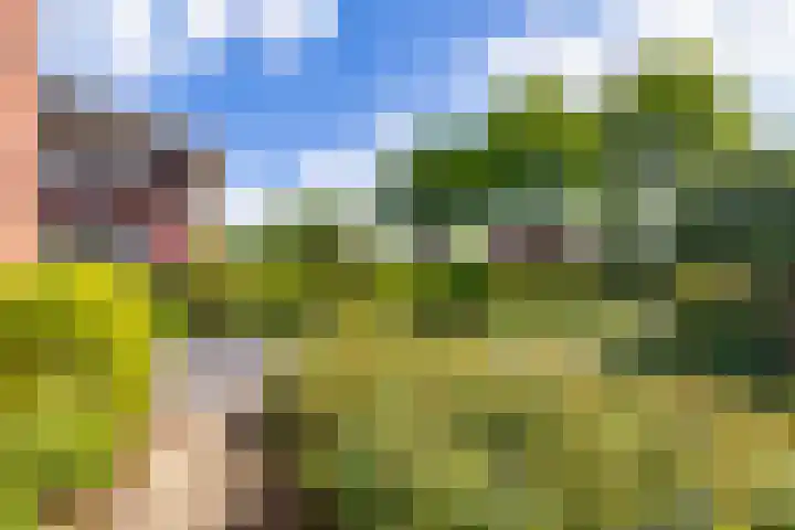 Fonteinkruid 50 Heerenveen thumbnail 7