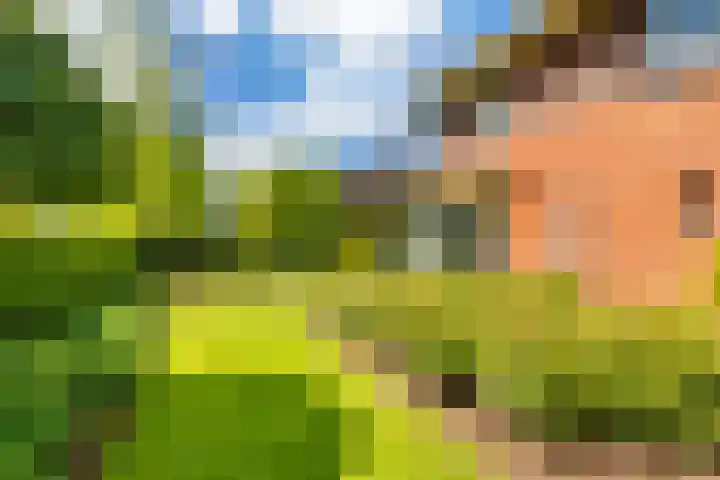 Fonteinkruid 50 Heerenveen thumbnail 8