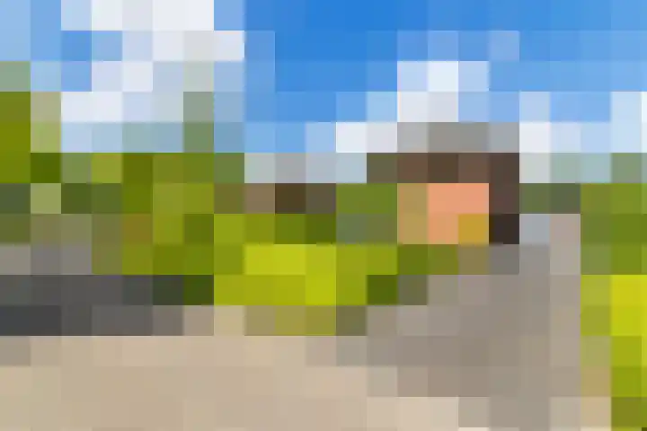 Fonteinkruid 50 Heerenveen thumbnail 9