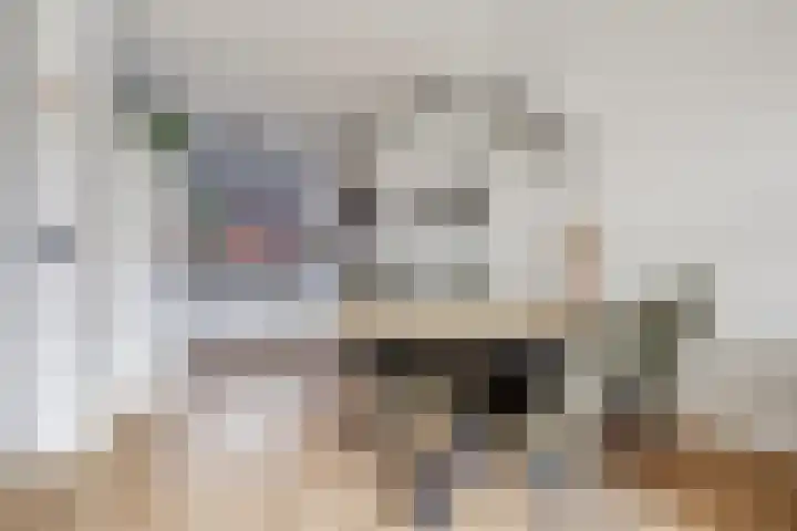 Fonteinkruid 50 Hendrik-Ido-Ambacht thumbnail 10
