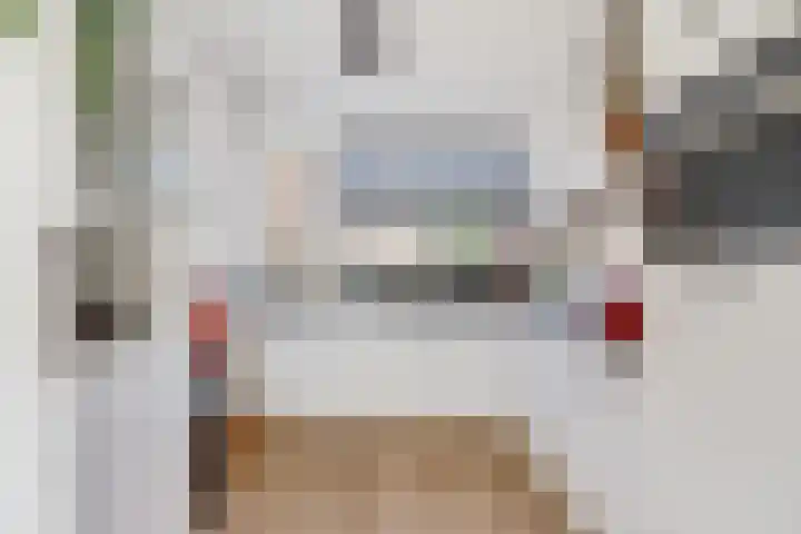 Fonteinkruid 50 Hendrik-Ido-Ambacht thumbnail 11