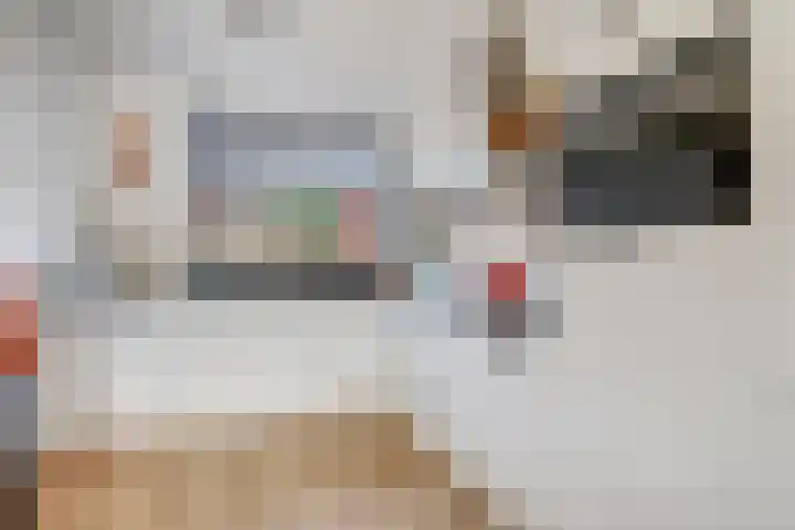 Fonteinkruid 50 Hendrik-Ido-Ambacht thumbnail 12