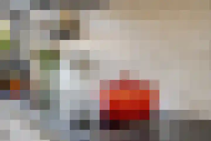 Fonteinkruid 50 Hendrik-Ido-Ambacht thumbnail 13