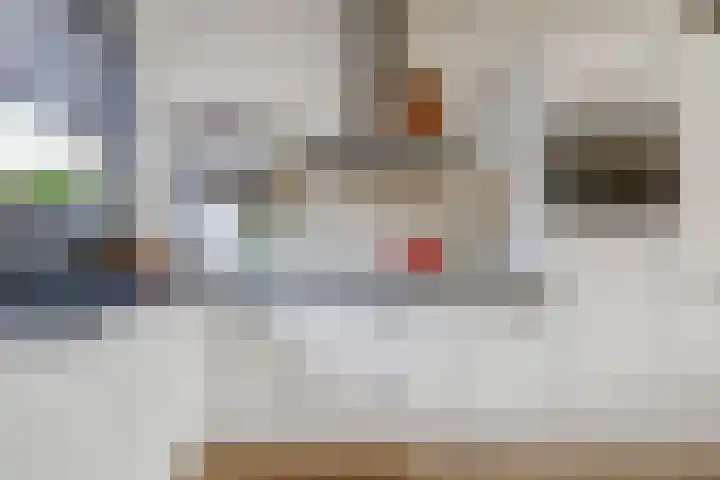 Fonteinkruid 50 Hendrik-Ido-Ambacht thumbnail 14