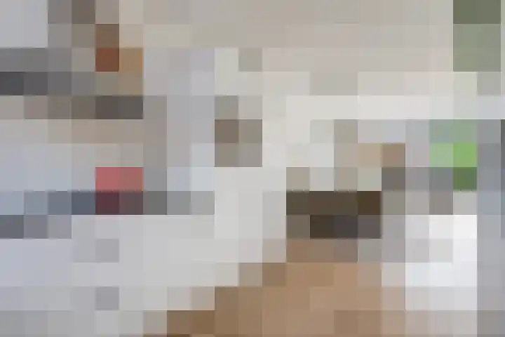 Fonteinkruid 50 Hendrik-Ido-Ambacht thumbnail 15