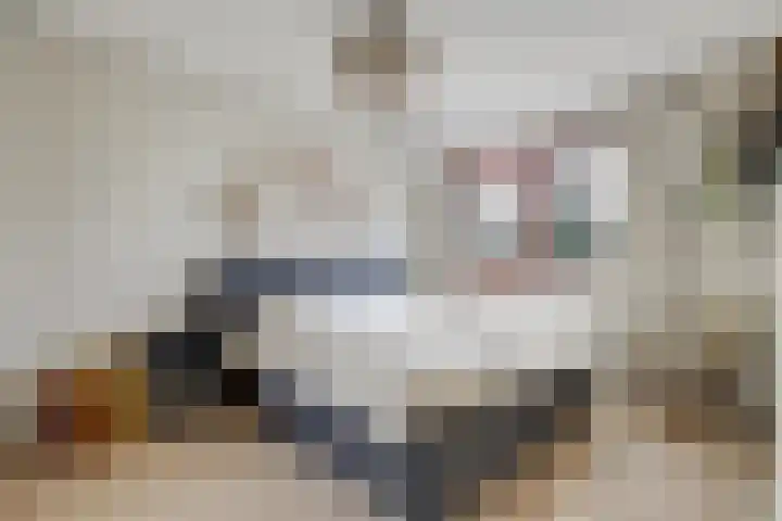 Fonteinkruid 50 Hendrik-Ido-Ambacht thumbnail 18