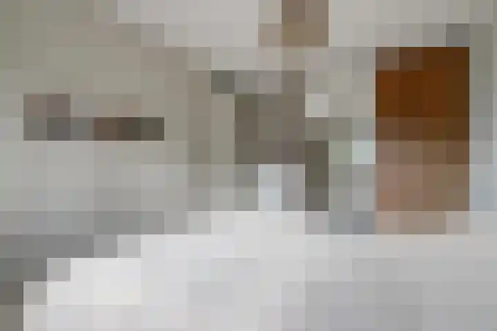 Fonteinkruid 50 Hendrik-Ido-Ambacht thumbnail 19