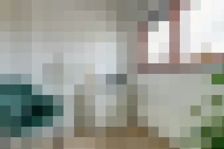 Fonteinkruid 50 Hendrik-Ido-Ambacht thumbnail 21