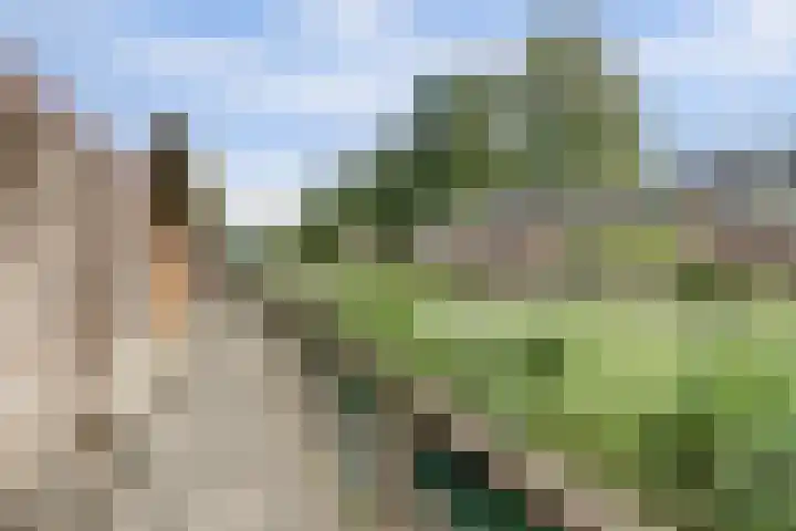 Fonteinkruid 50 Hendrik-Ido-Ambacht thumbnail 28