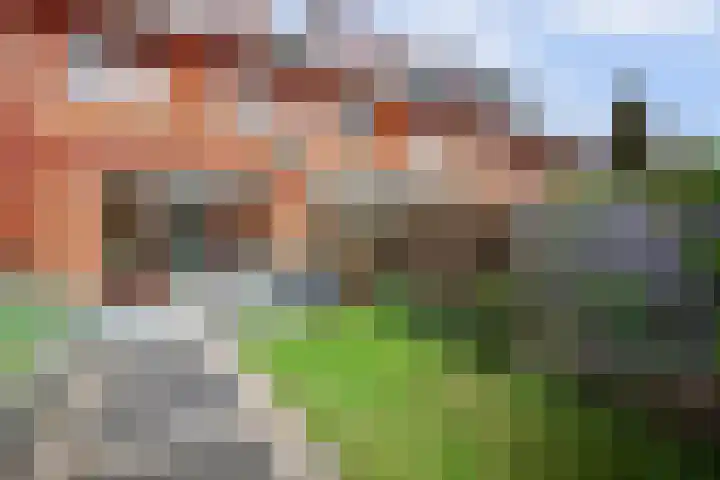 Fonteinkruid 50 Hendrik-Ido-Ambacht thumbnail 31