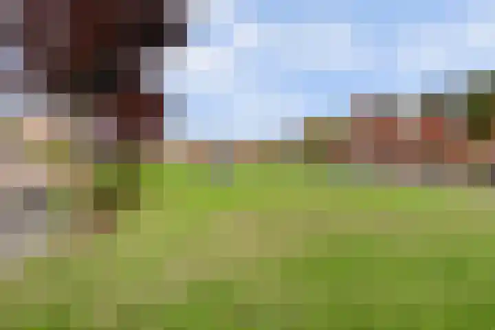 Fonteinkruid 50 Hendrik-Ido-Ambacht thumbnail 35
