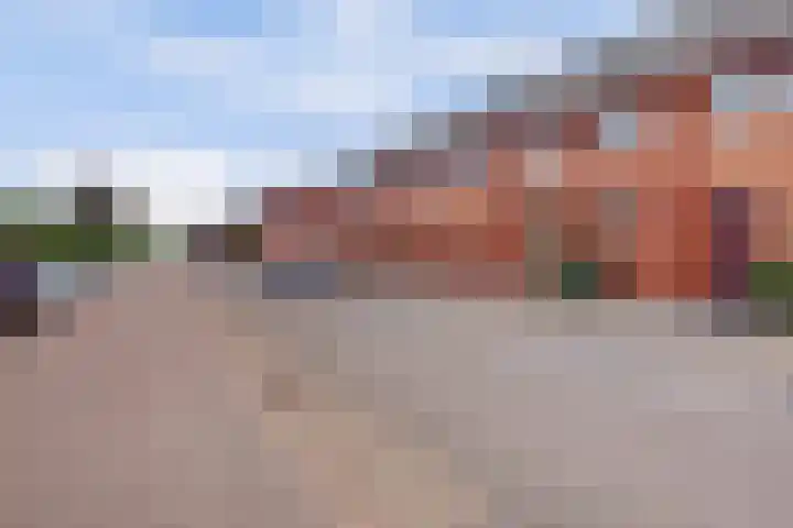 Fonteinkruid 50 Hendrik-Ido-Ambacht thumbnail 36
