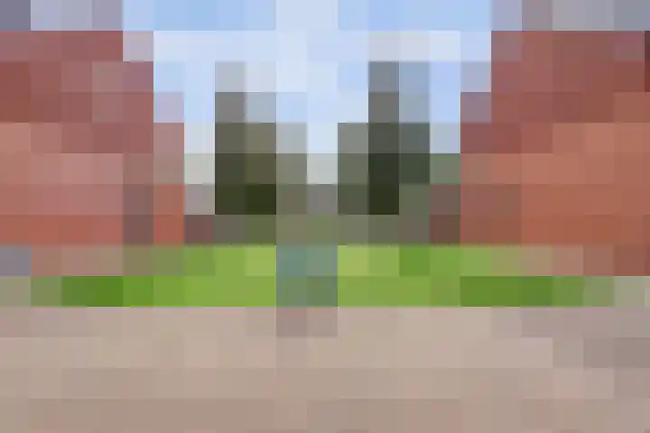 Fonteinkruid 50 Hendrik-Ido-Ambacht thumbnail 37