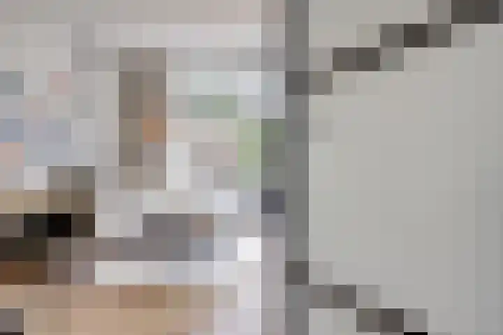 Fonteinkruid 50 Hendrik-Ido-Ambacht thumbnail 5