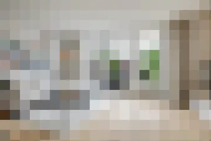 Fonteinkruid 50 Hendrik-Ido-Ambacht thumbnail 6