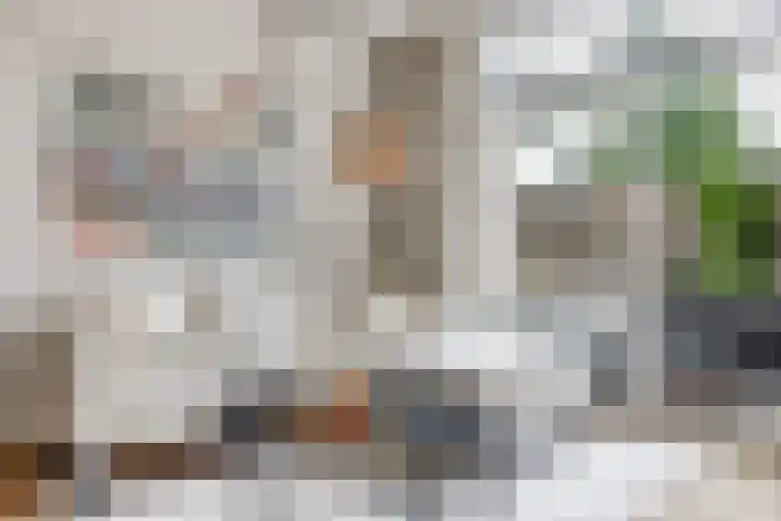 Fonteinkruid 50 Hendrik-Ido-Ambacht thumbnail 7