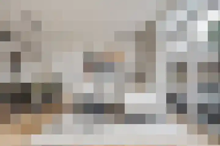 Fonteinkruid 50 Hendrik-Ido-Ambacht thumbnail 8