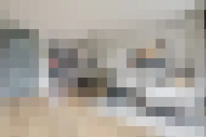 Fonteinkruid 50 Hendrik-Ido-Ambacht thumbnail 9