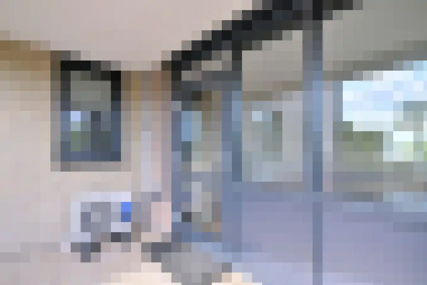 Fonteinkruid 52 Deventer thumbnail 14