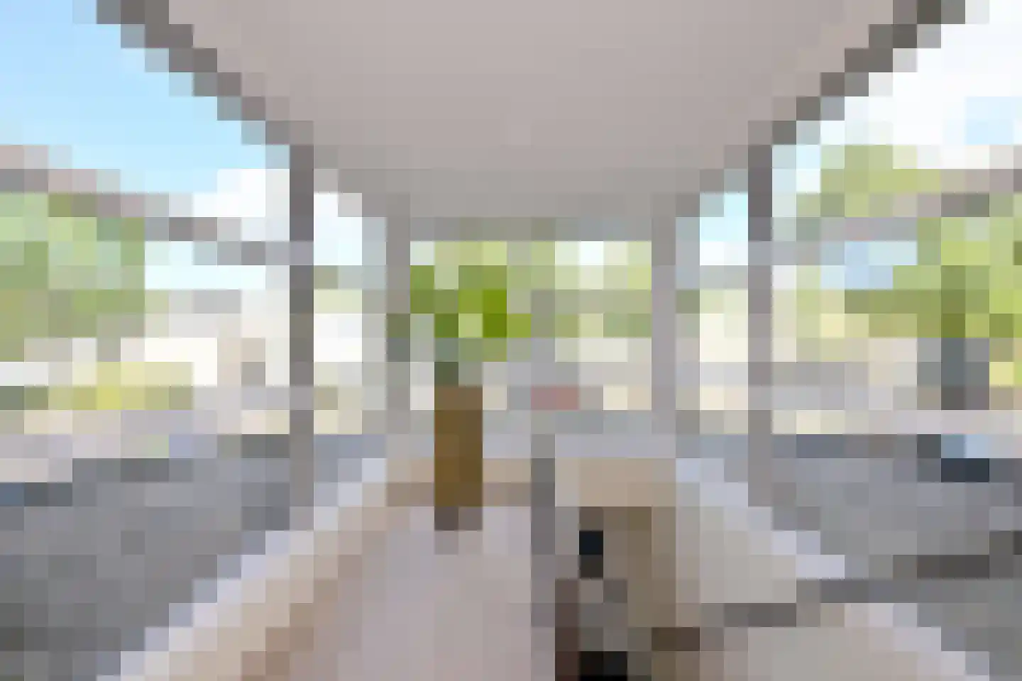 Fonteinkruid 52 Deventer thumbnail 25