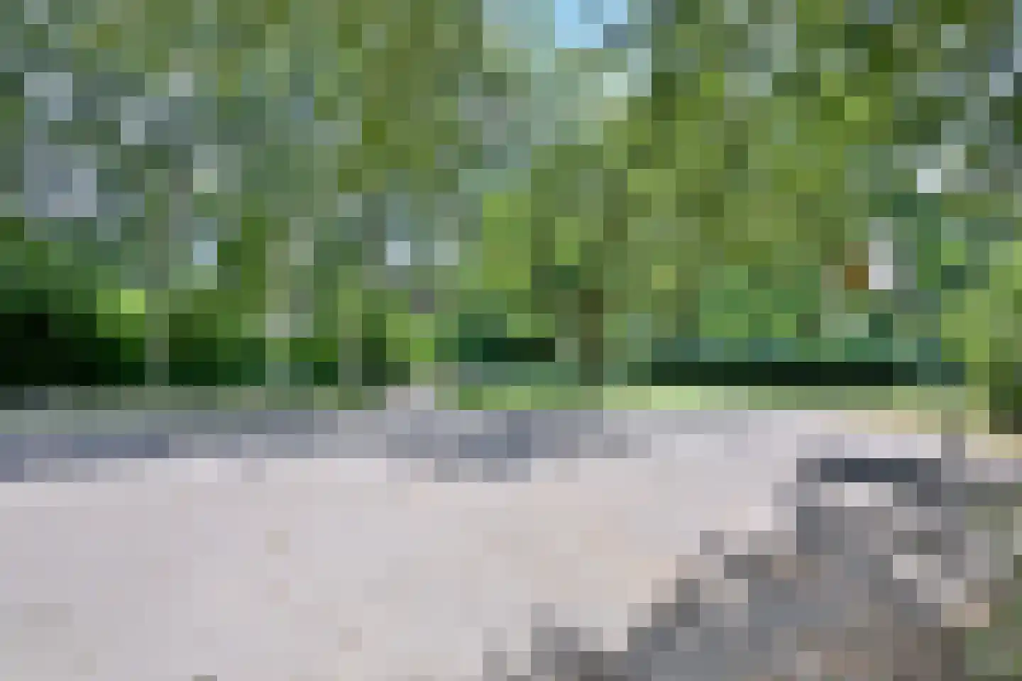 Fonteinkruid 52 Deventer thumbnail 30