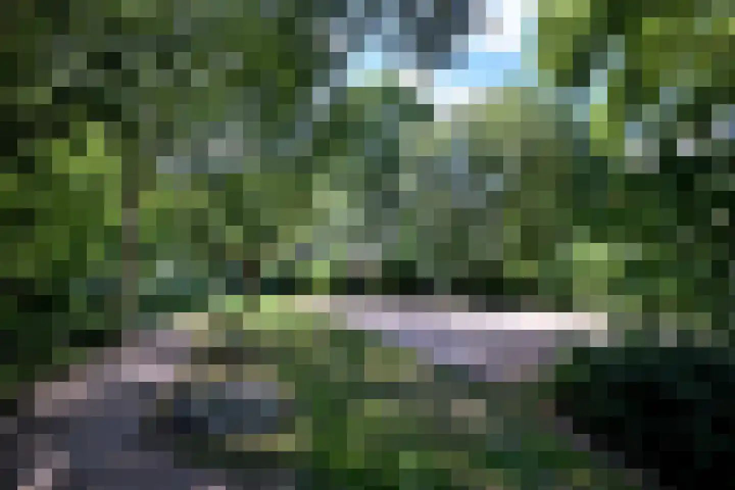 Fonteinkruid 52 Deventer thumbnail 31