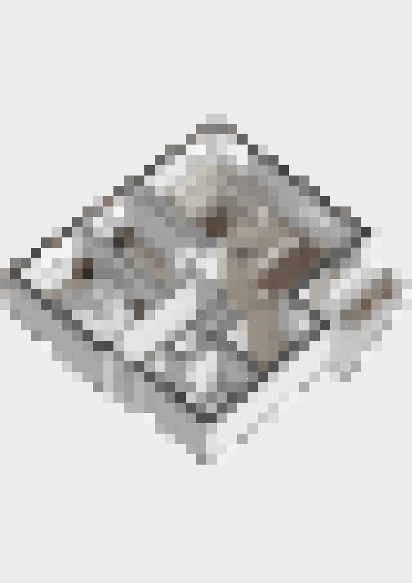 Fonteinkruid 52 Deventer thumbnail 34