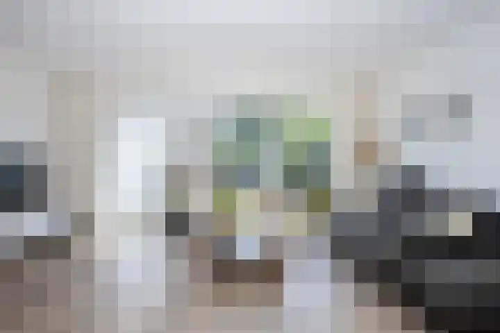 Fonteinkruid 56 Zwolle thumbnail 12