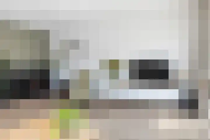 Fonteinkruid 56 Zwolle thumbnail 13