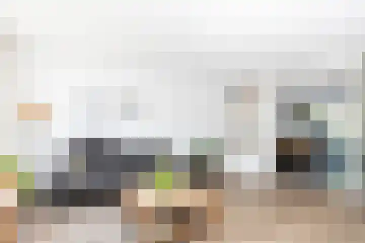 Fonteinkruid 56 Zwolle thumbnail 15