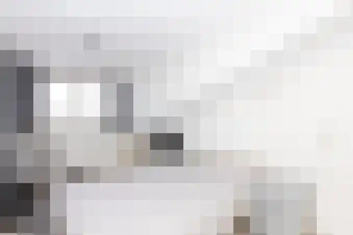 Fonteinkruid 56 Zwolle thumbnail 24