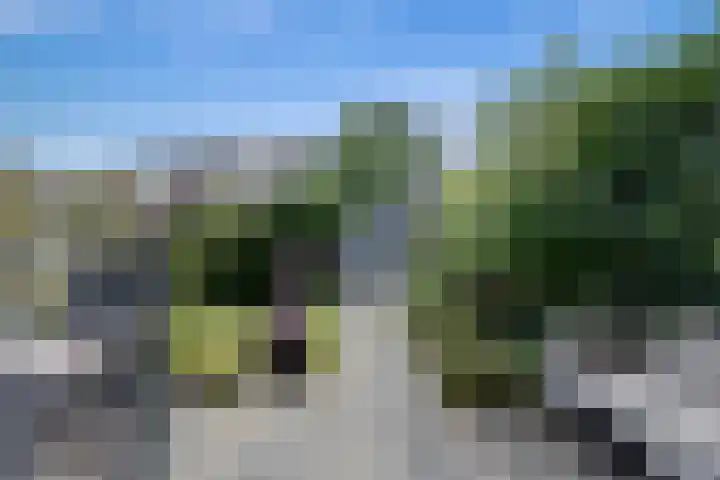 Fonteinkruid 56 Zwolle thumbnail 29