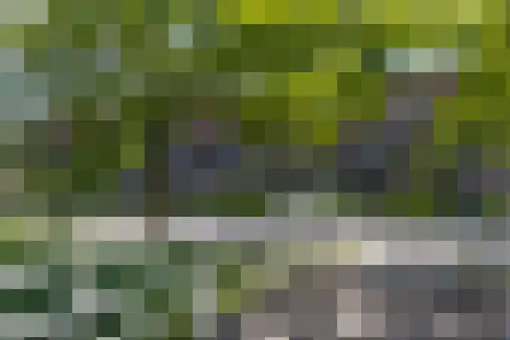 Fonteinkruid 56 Zwolle thumbnail 4
