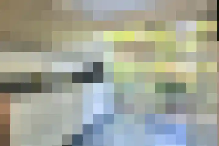 Fonteinkruid 56 Zwolle thumbnail 9