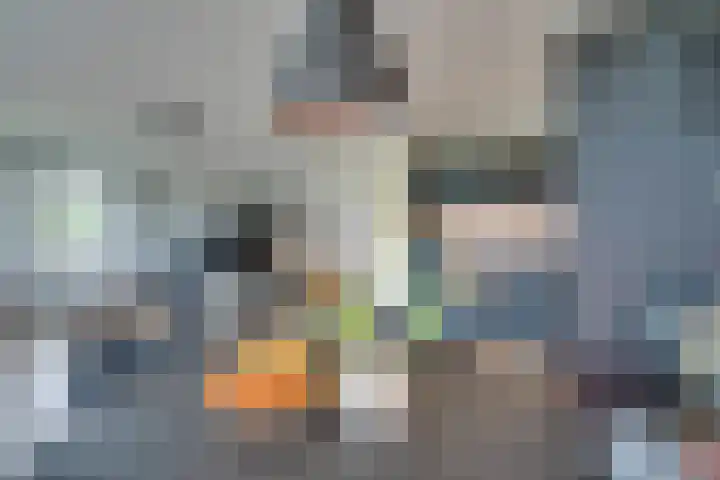 Fonteinkruid 57 Oudkarspel thumbnail 21